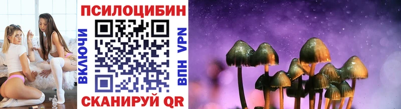 Галлюциногенные грибы Psilocybe  Магас 
